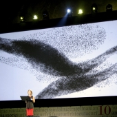 festival delle letterature
